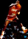 jordan49t.jpg (3883 bytes)
